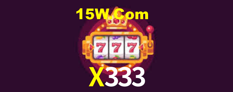 X333