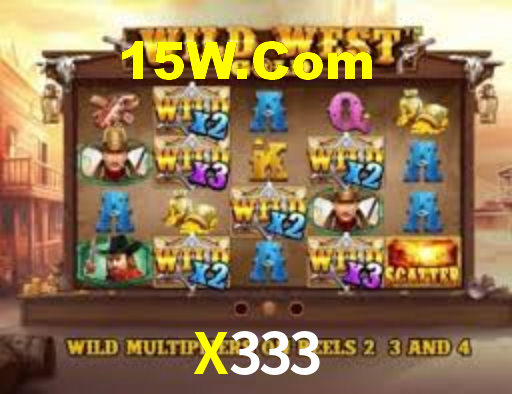 X333