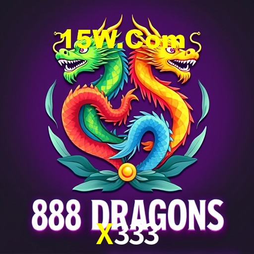 Experiência VIP X333