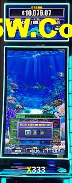 Basketball Betting X333