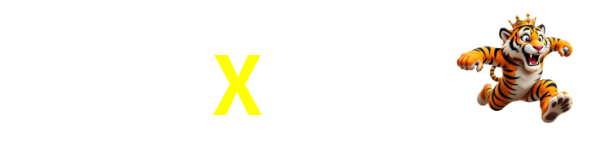 X333
